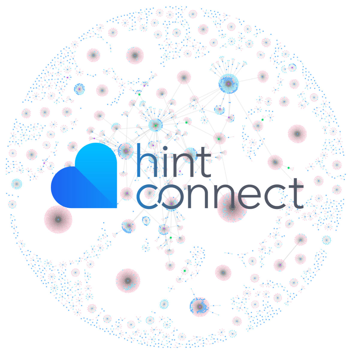 Hint Connect Network Map-1